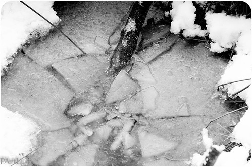 Ice& cold | by Ly DIA