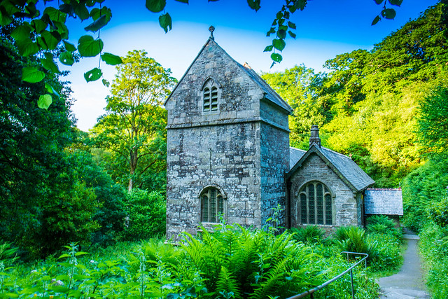 Minster Church Boscastle lies overgrown deep in the woods.