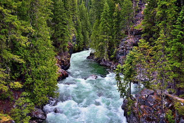 Rapids of the Stehekin River Rushing By (North Cascades National Park)