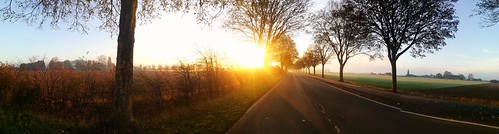 noedit panorama natur nature sunrise sonnenaufgang sunny sonnig sun morning morgens outside countryside landschaft landscape lane strasse tree baum bäume field feld winter cold kalt sunshine sonnenschein