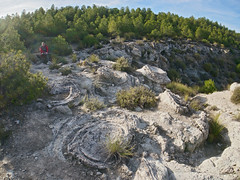 Megasismitas en depósitos lacustres - Camino de la Cañada, Galera (Granada, España) - 45