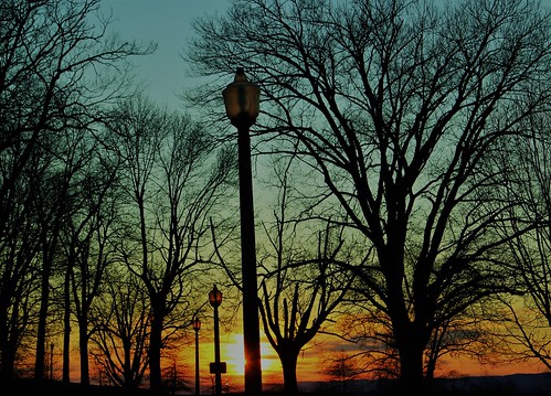 sunset reservoirpark harrisburg trees