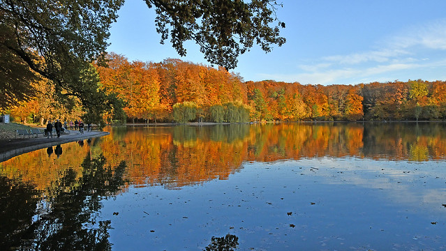 Herbst von seiner schönsten Seite  -  Autumn at its best
