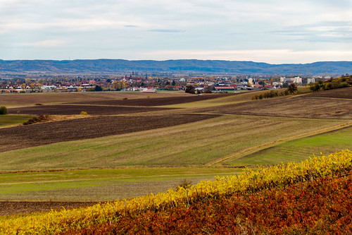 View towards Bad Windsheim by Jonas Schauer, ipsheim bayern deutschland deu