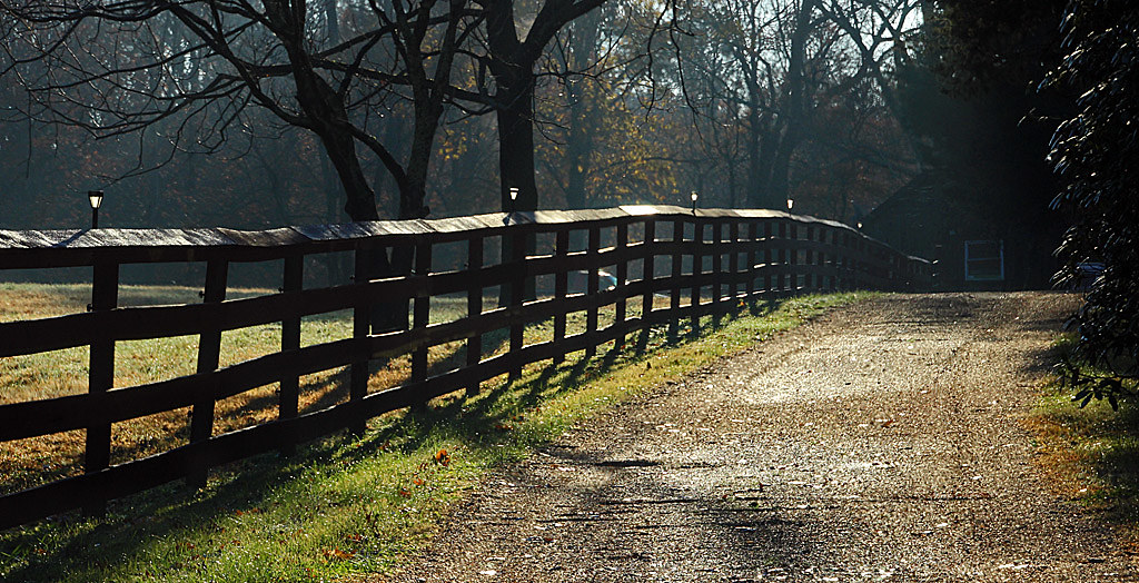 The fence