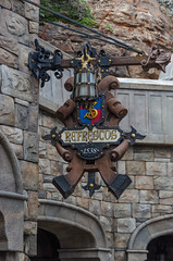 Photo 6 of 25 in the Day 2 - Tokyo DisneySea gallery