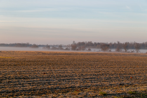 farmland fog wilmington ohio unitedstates us sunrise uniontownship field landscape scenic pleasant trees stubble mist clintoncounty