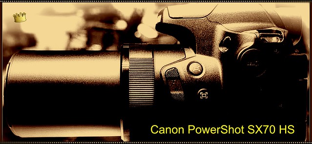 Canon PowerShot SX70 HS. DS - Dual Sensing IS.