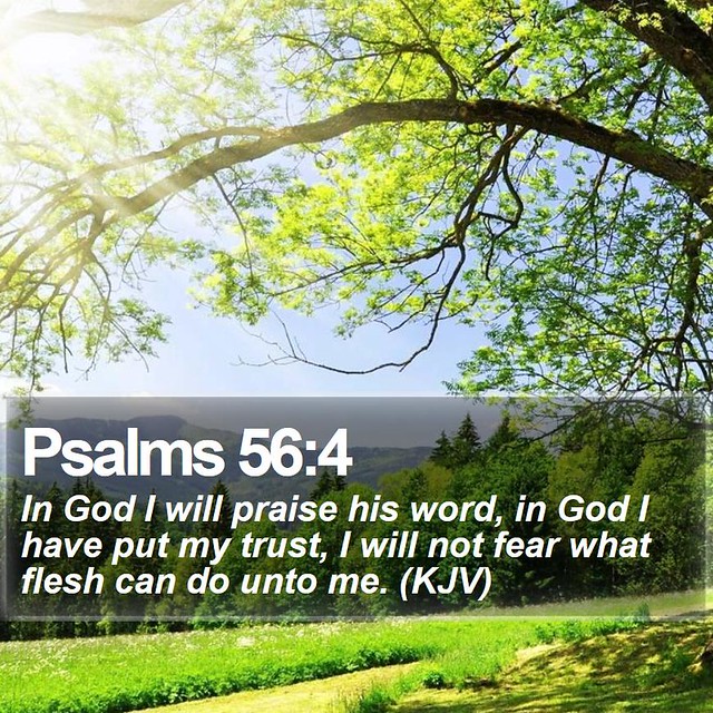 Daily Bible Verse - Psalms 56:4