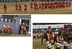 Elephant Festival Surin