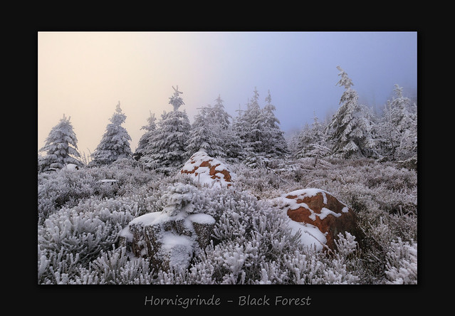 Hornisgrinde - Black Forest