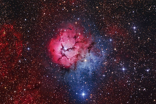 The Trifid Nebula | by Terry Robison