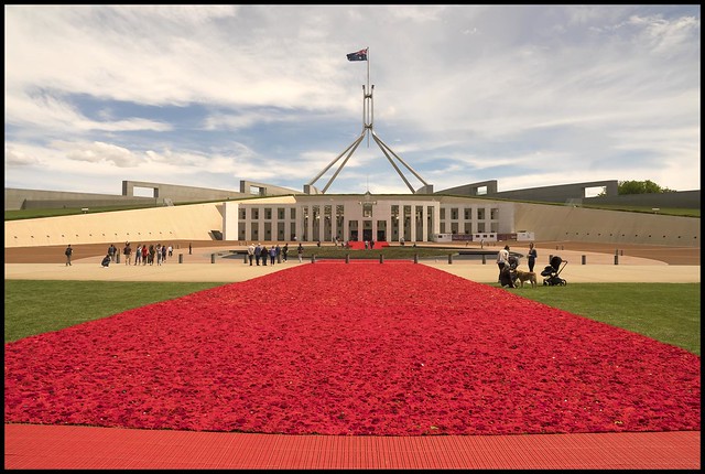Knitted Poppies in front of Australian Parliament House-2=