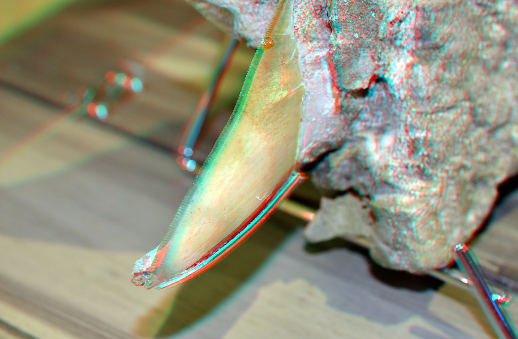 haaie-tand-shark-teeth-otodus-megalodon-3d-nhm-rotterdam-flickr