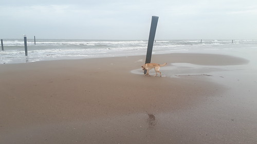 Strand Beach