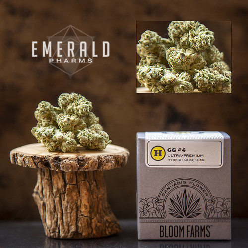 Emerald Pharms Dispensary GG#4 Top Shelf Cannabis, Hopland, California | by NorCal Cannabis