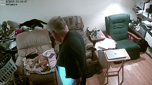 IPCamera alarm:InsideCamera detected alarm at 2019-1-8 22:10:44 | by inside.camera