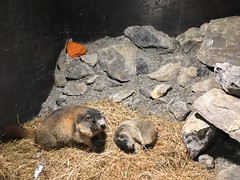 Ausflug Jugend 2018