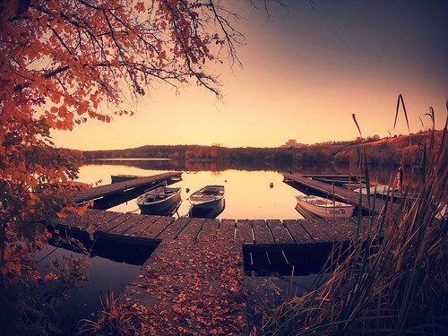 sunset sunlight sunshine landscape view lake water fall autumn season nature dawn evening mood light details colors outdoors travel visit explore discover ma stuttgart badenwürttemberg germany europe photography hobby beautiful boat tree leaves