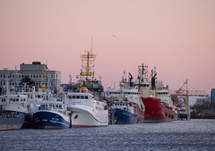 Cuxhaven: Neuer Fischereihafen
