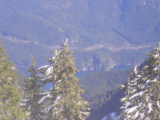 Indian Arm as Seen from Mt. Seymour