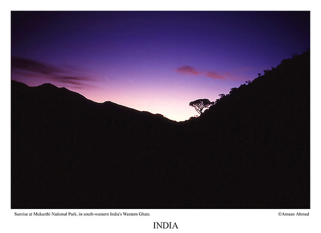 Nilgiris, India: Dawn over mounts