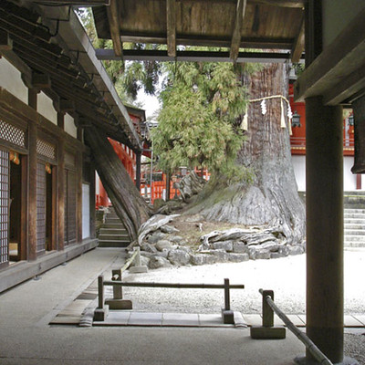 Japan_postale04 | by weyerdk
