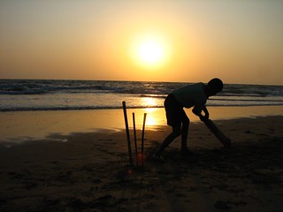 Cricket on the Beach