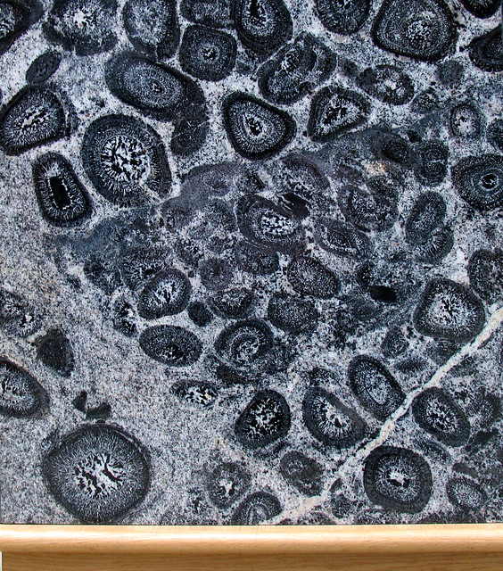 Orbicular Granite (detail)