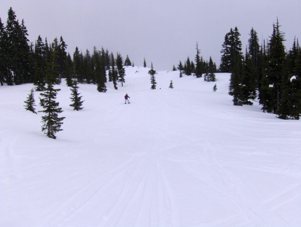 Bear Cub – Aufnahme in der Umgebung von Bear Mountain Ski Hill