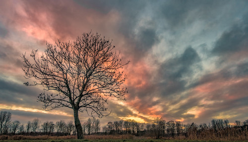 nederlandvandaag vlaardingervaart clouds landscape sky sundown sunset tree trees
