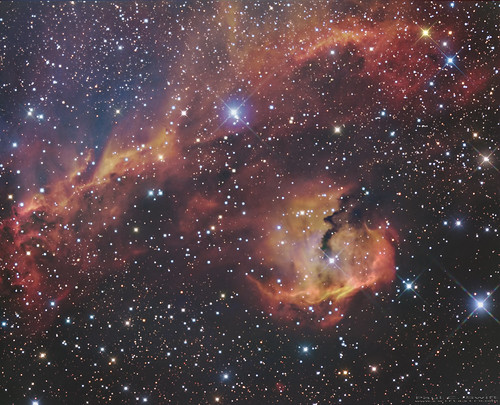 The Seagull Nebula at 930mm | by www.swiftsastro.com