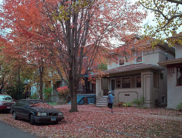 Fall In Ravenswood Neighborhood