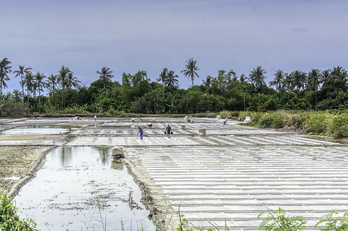 salt harvesting farm sea bago philippines