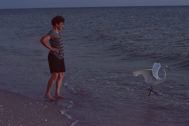 I met an egret. (1 of 5)