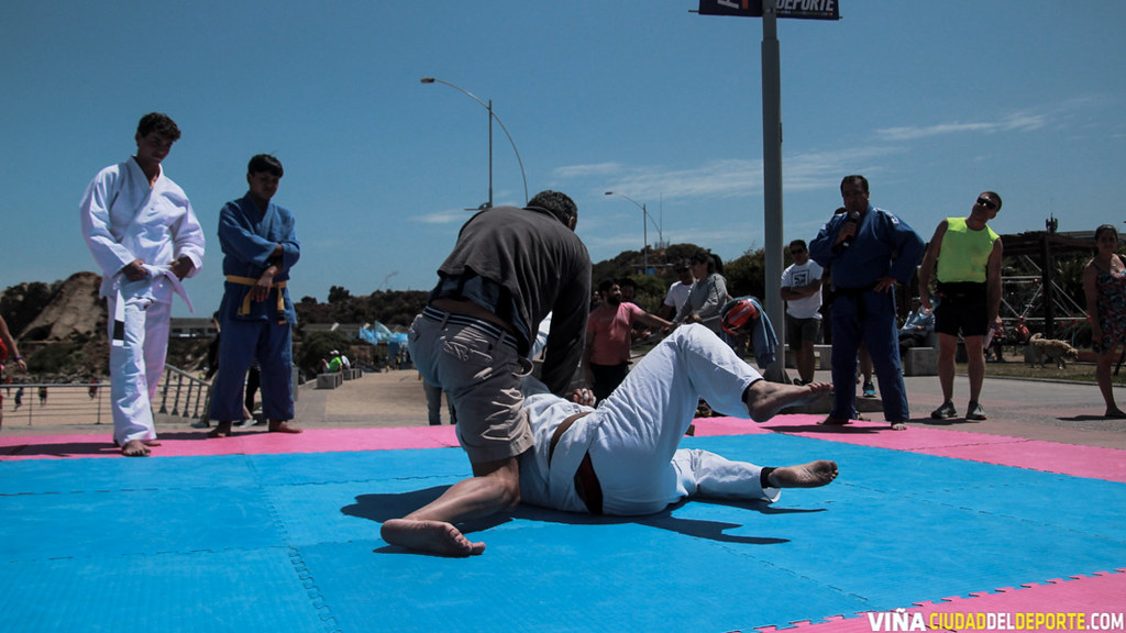Clinica de Judo en Playa del Deporte