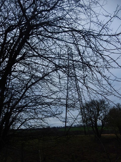 Pylon through trees Little Kimble to Saunderton