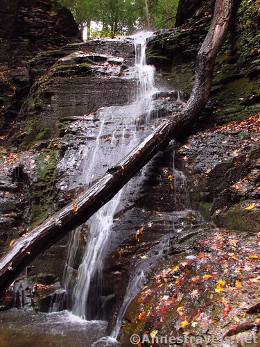 barnescreek barnesgully waterfall waterfalls autumn fallcolors fall canandaigua newyork onandapark fingerlakes