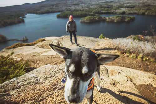 maine hiking dog outdoors view lake cliff rock sky camden camdenmaine me