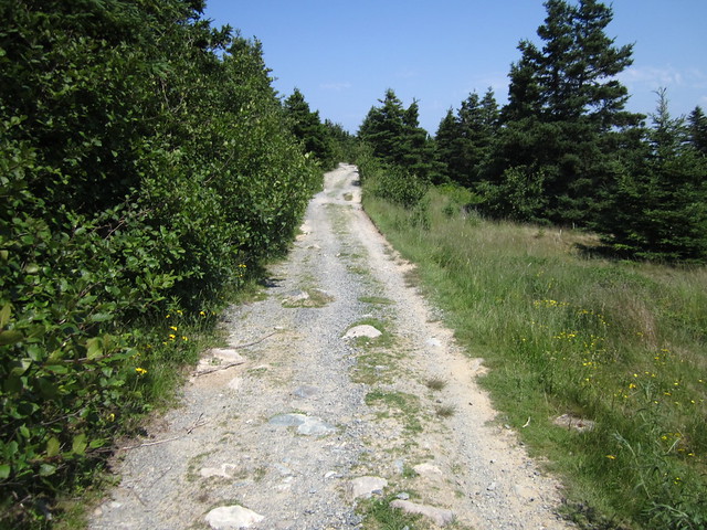 The Trail Ahead