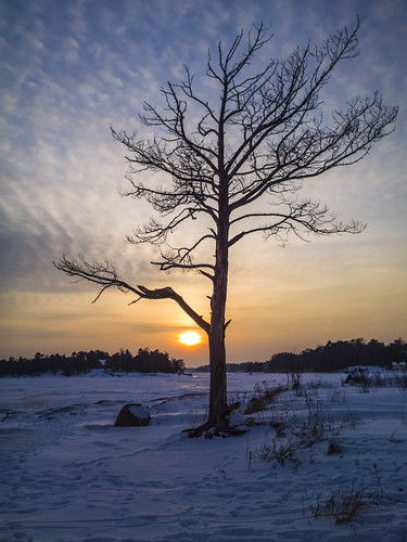 landscape nature outdoors silhouette sunset sun espoo finland