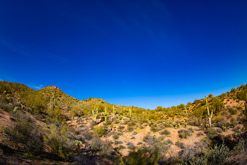 america arizona bartlettlake cavecreek saguaro tontonationalforest usa unitedstates unitedstatesofamerica yellowcliffs cacti cactus desert rioverde us fav10