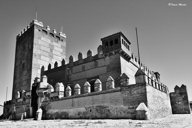 Castillo de Narros de Saldueña.