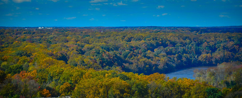 arlingtoncounty virginia unitedstates us falls colors along potomac river viewed from observation deck ceb tower rosslyn va washingtondc washington dc usa america arlington water aerial view fall autumn color colour colours tree trees leaves leafs