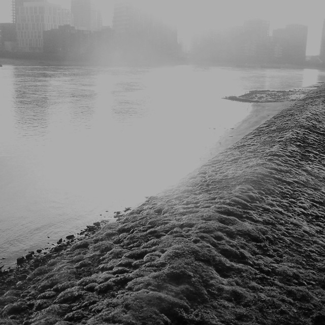 The Thames at Vauxhall, from the mossy wall. December 2018.
