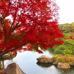 徳川園 Tokugawa Garden