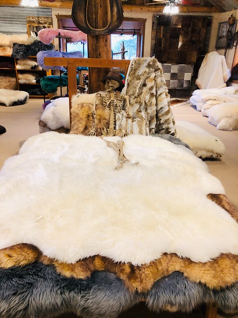 Maybe resting for too long at the Overland Sheepskin Company in Taos!