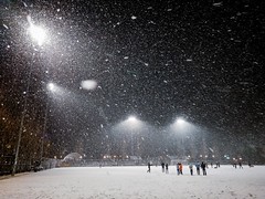 Snowy Cal Anderson Park