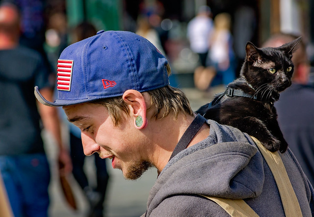Man with ear plug earring carrying black cat in New Orleans Louisiana French Quarter