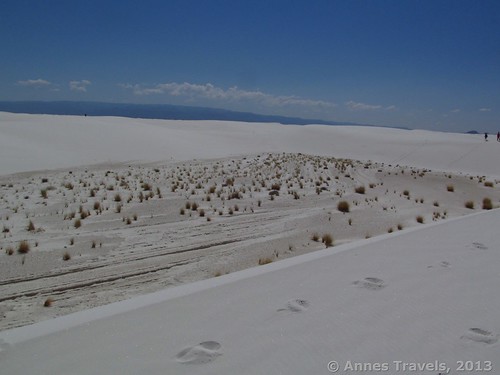 A hidden meadow in White Sands National Park, New Mexico